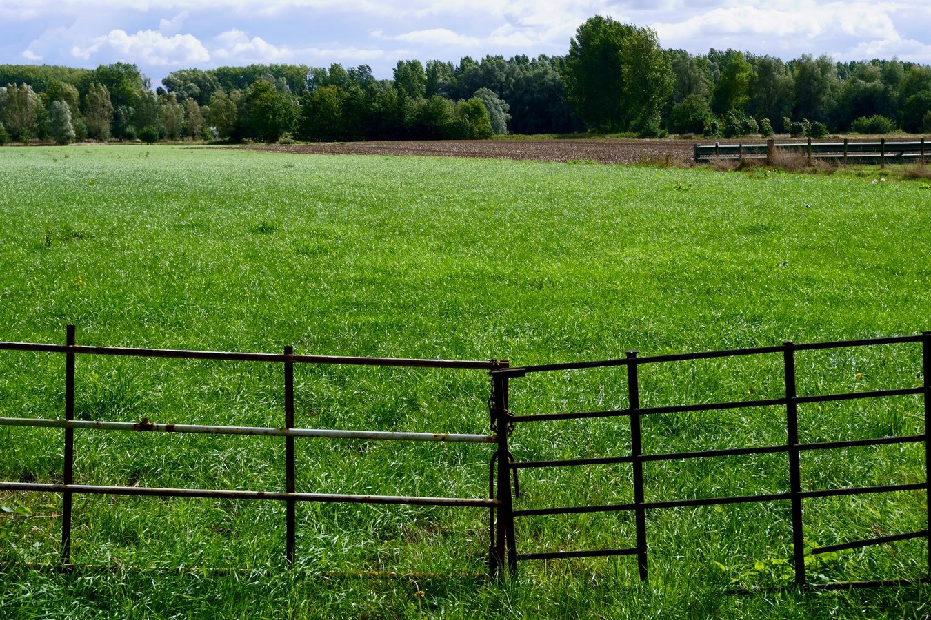 Alles wat je moet weten over het plaatsen van een schutting in je tuin